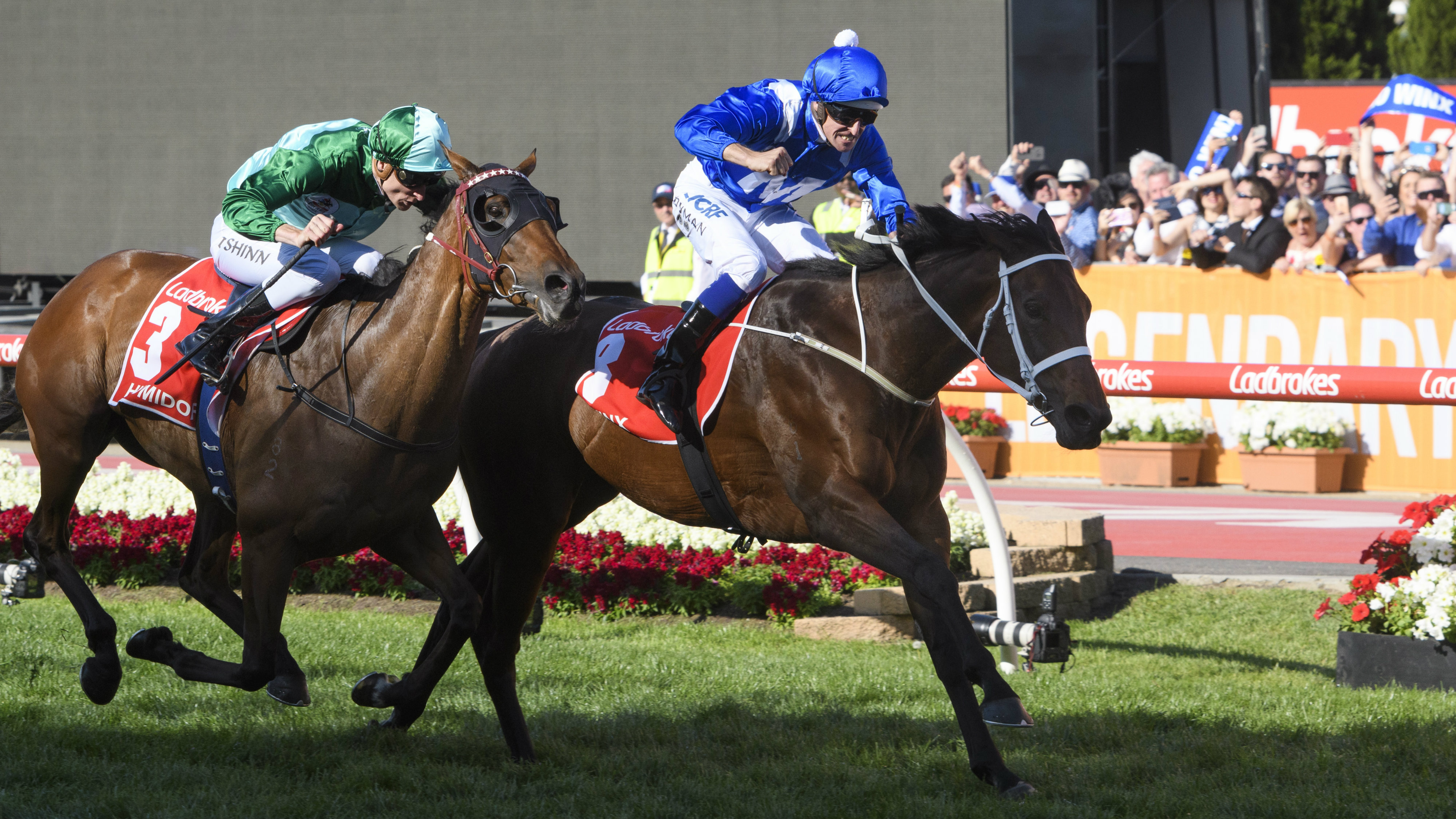 Cox Plate 2018 How To Watch Date Odds Sporting News Australia