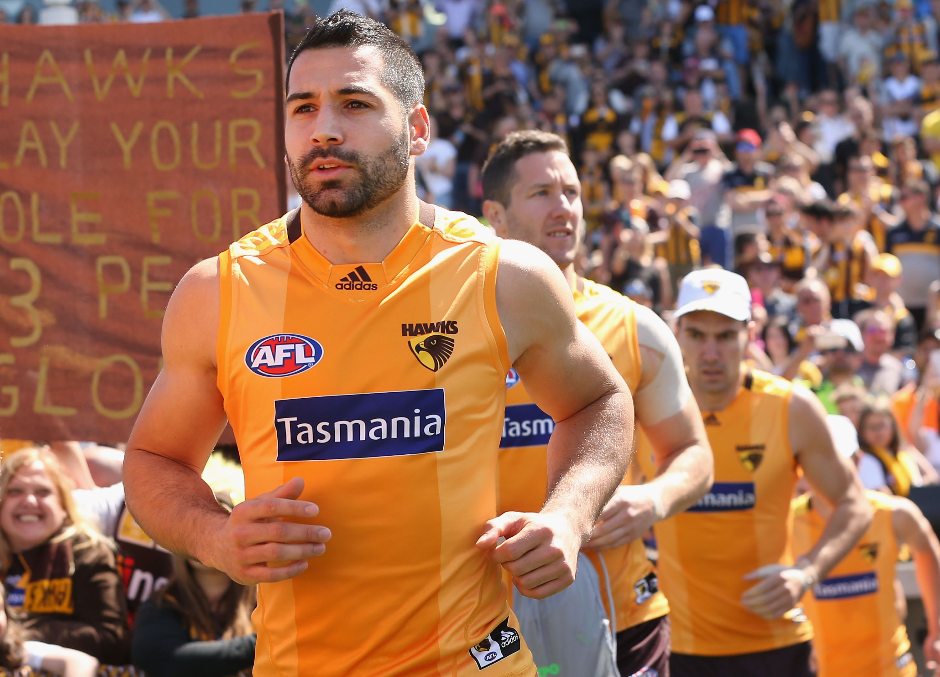 Hawthorn player ratings 2015 AFL Grand Final Sporting News Australia