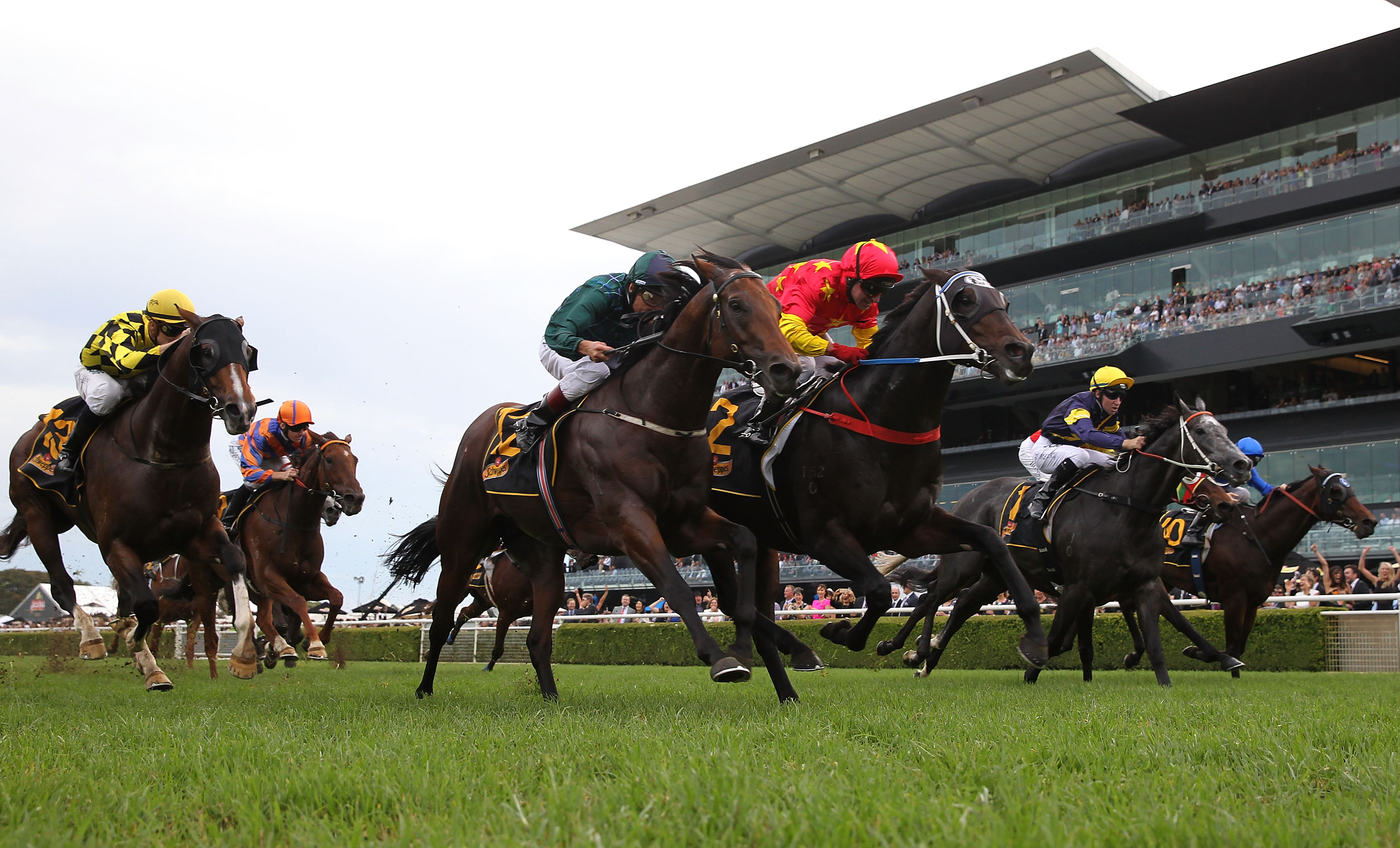 Sydney set to host Australia's new richest thoroughbred race | Sporting 