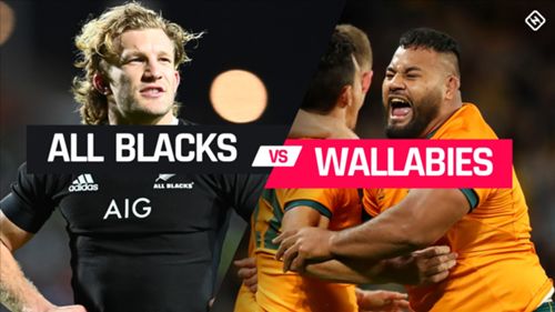 Bledisloe Cup Game 1 Preview Michael Cheika Breaks Down The Key Tactics For Both Teams Sporting News Australia