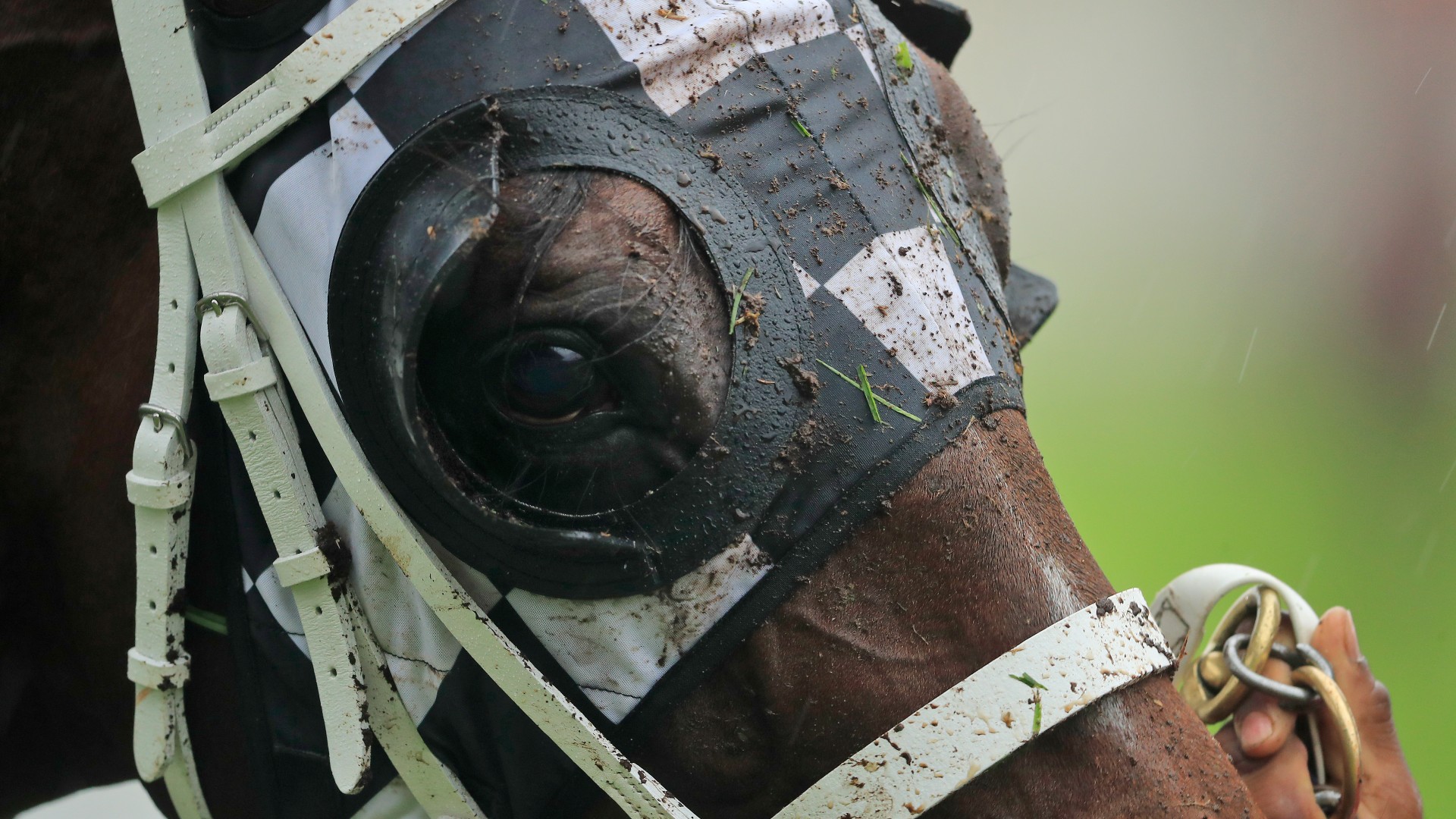 Golden Slipper postponed: New date for meeting to be ...