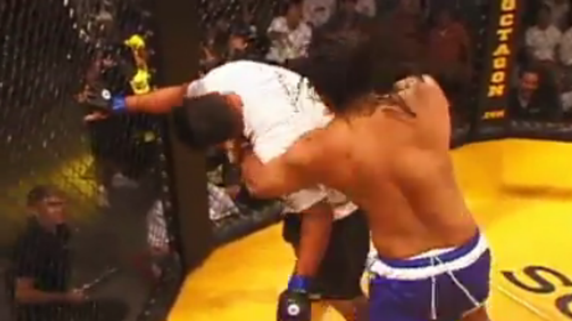 Video Herb Dean fights in the cage Sporting News Australia