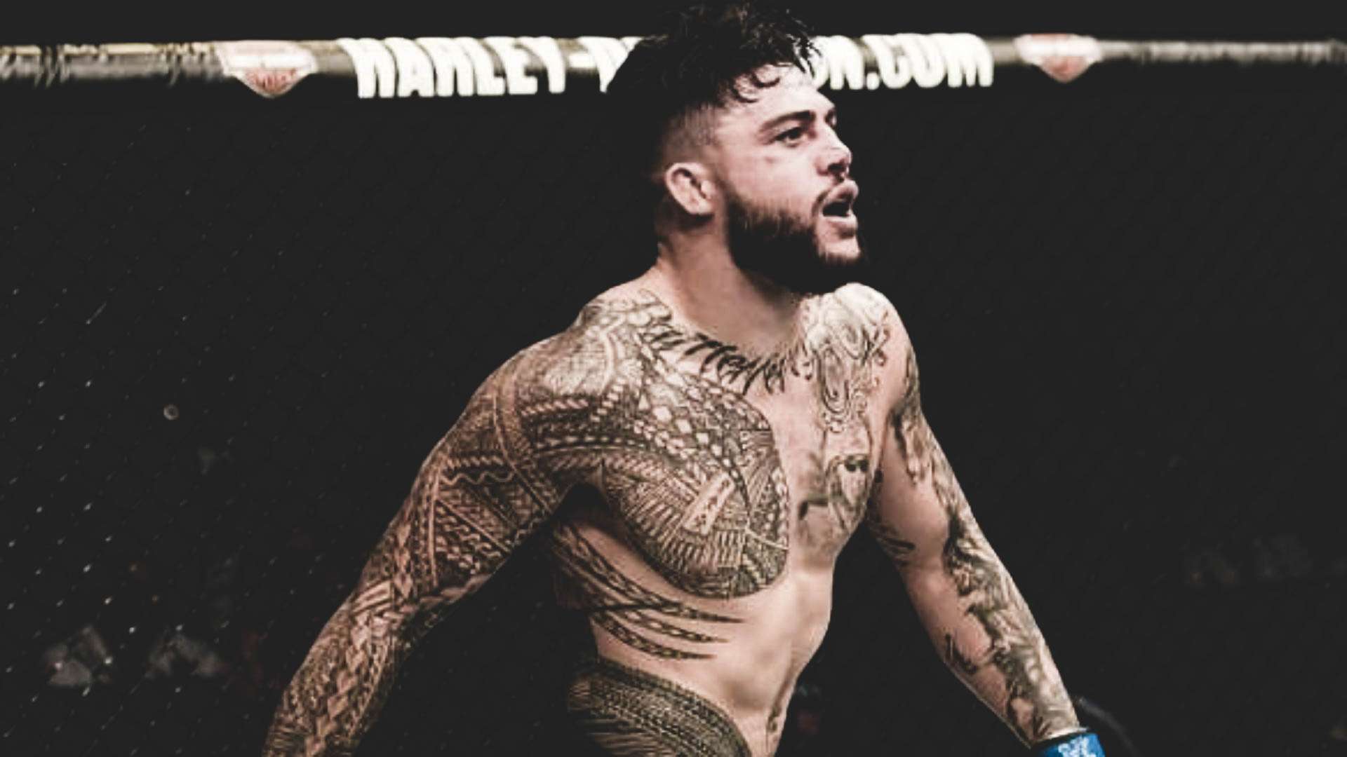 1 pedro 5 tatuagem In An Exclusive Column Tyson Pedro Talks About His Tattoos And Samoan Heritage Ahead Of His Ufc Singapore Fight With Ovince Saint Preux Sporting News Australia