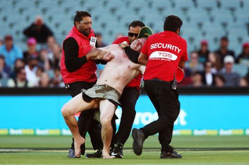 Watch Streaker Entertains Adelaide Oval Crowd Sporting News Australia