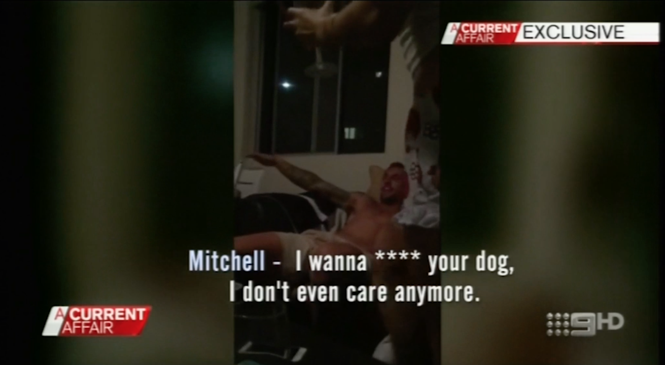 Video Revealed Mitchell Pearce S Lewd Act With A Dog Sporting News Australia [ 740 x 1349 Pixel ]