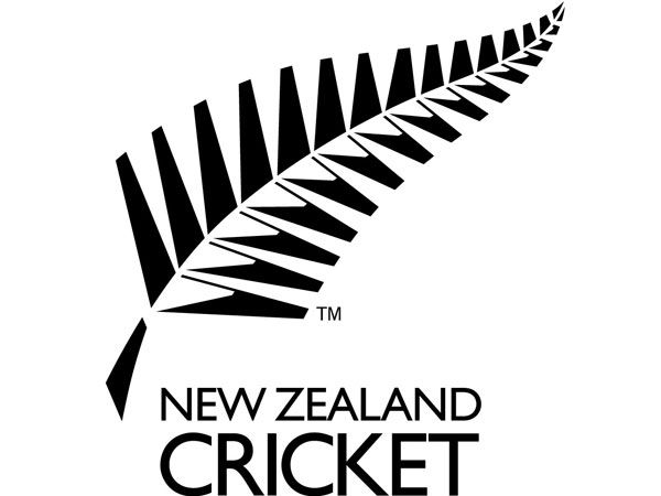 Weird And Ridiculous Cricket Logos Dennis Does Cricket Sporting News Australia Katso, millaisia toimintoja sivua hallinnoivat ja sisaeltoeae julkaisevat ihmiset tekevaet. weird and ridiculous cricket logos
