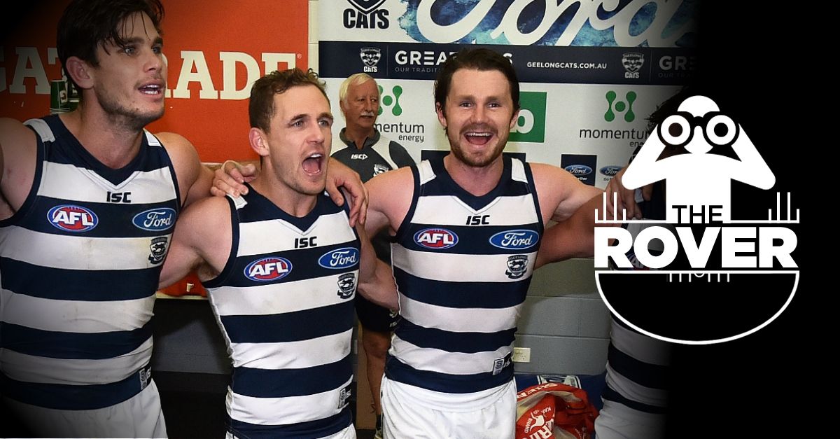 The Rover Geelong Considering Shock Axing Sporting News Australia
