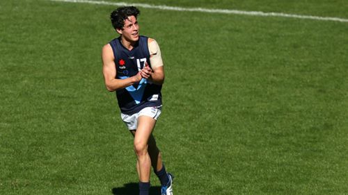 What The Experts Say Of Top Five Afl Draft Prospects