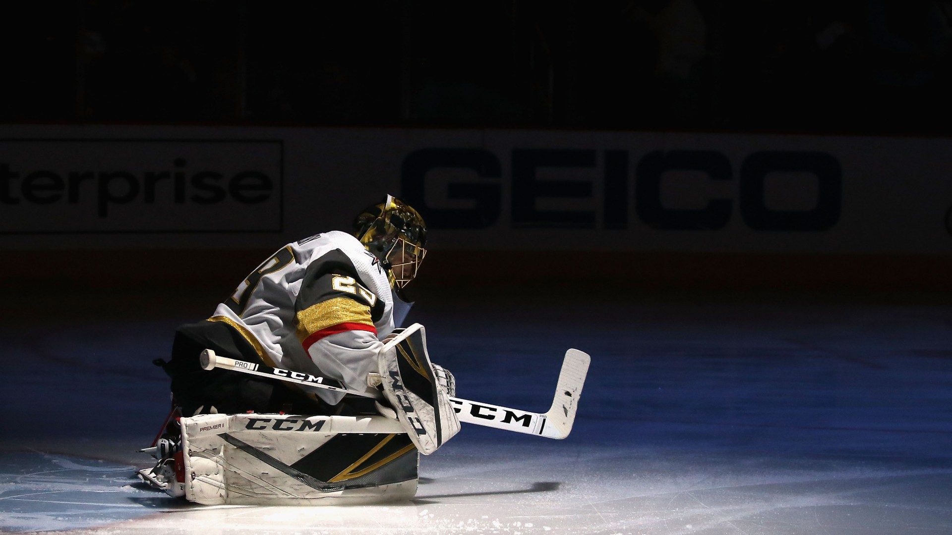 marc andre fleury stick