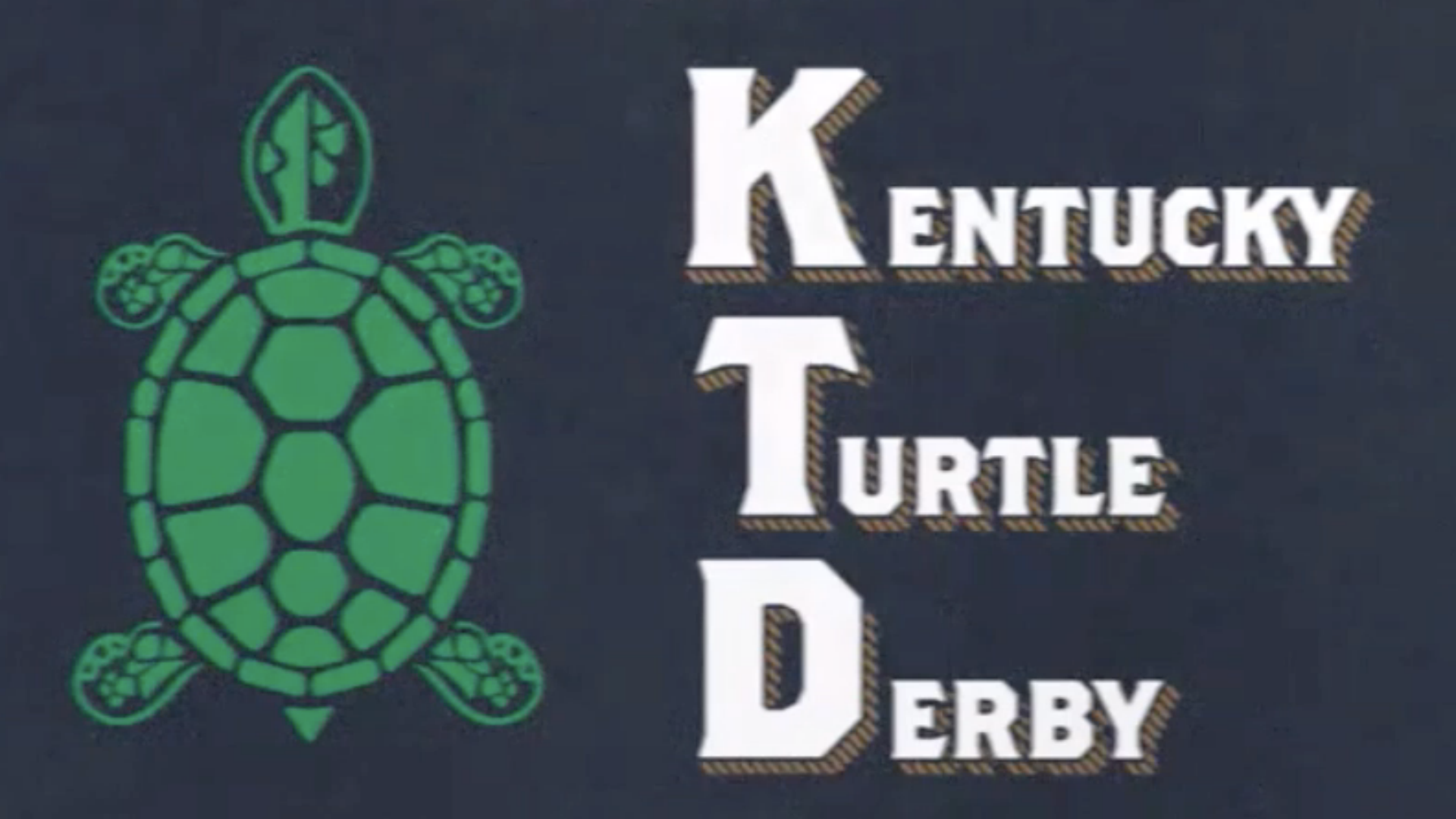 The Slowest Eight Minutes in Sports How a turtle derby will replace