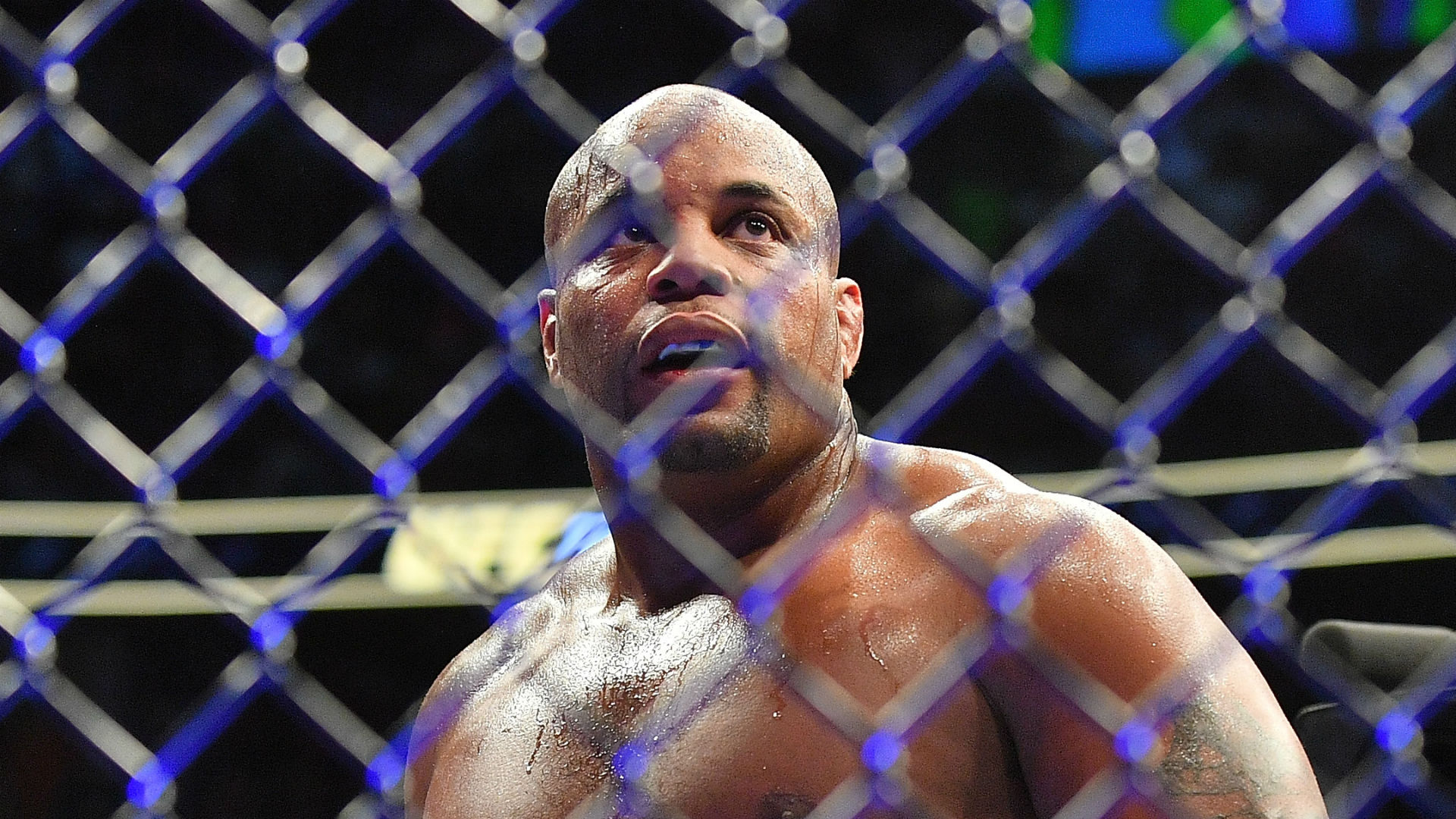 Daniel Cormier Says Team Khabib Almost Jumped Him Once So Ufc 229 Brawl Didn T Surprise Him At All Sporting News