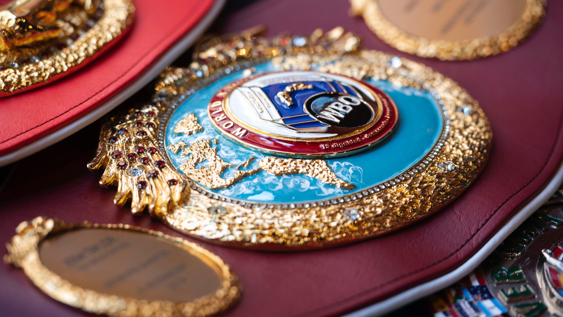 WBO Belt