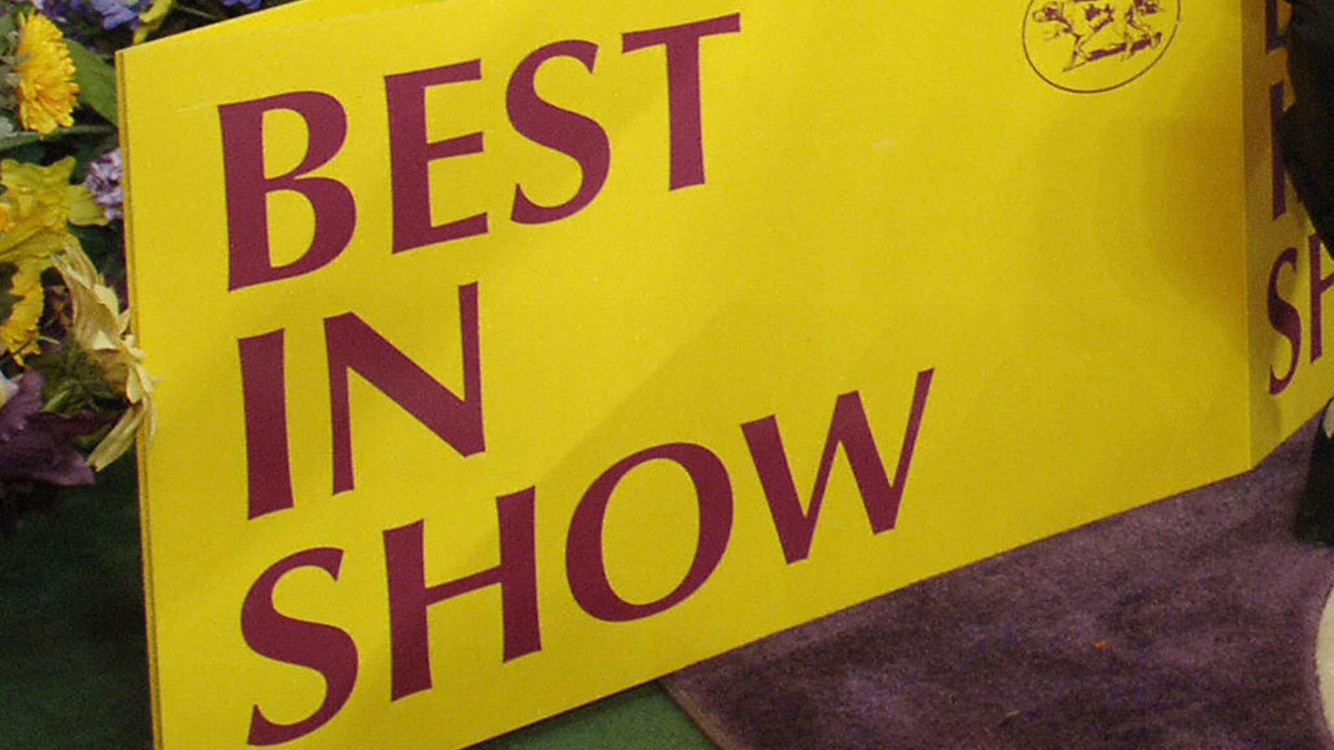 Who won the Westminster Dog Show in 2021? Breed results, group winners & Best in Show