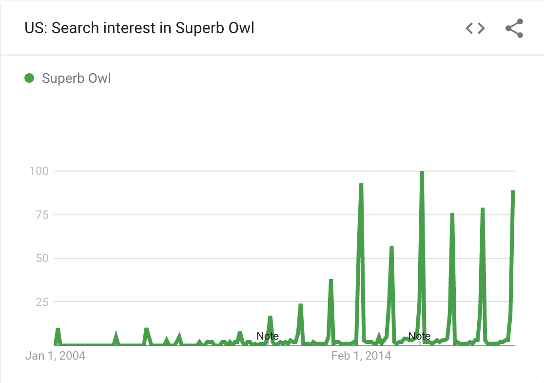 Superb Owl 2020 The Story About Owls And Super Bowl 54 You Didn T Know You Wanted Until Now Sporting News