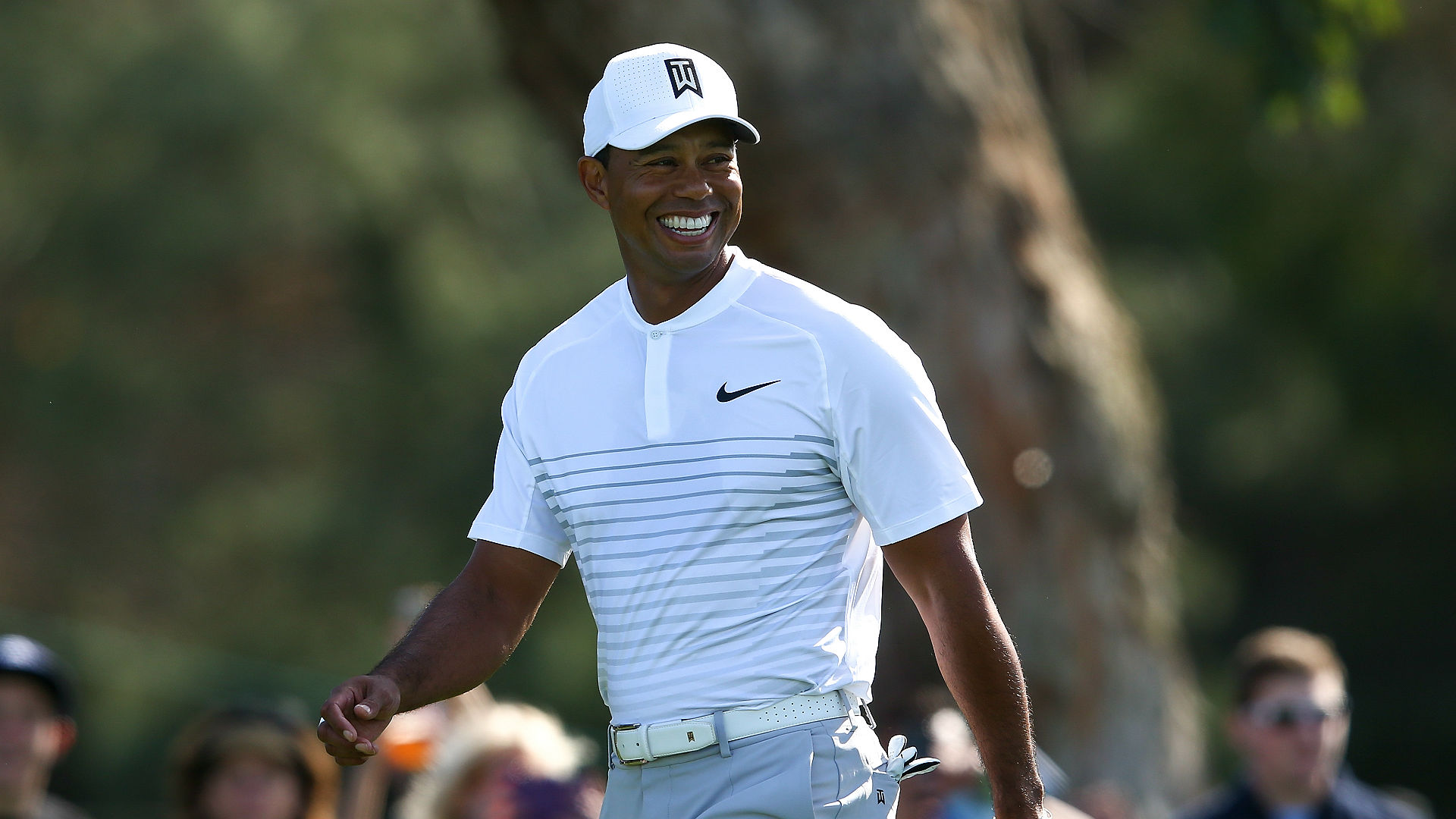 watch genesis open